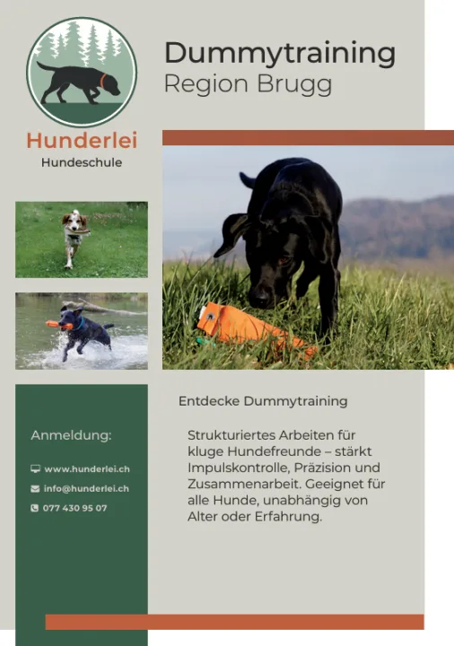 Dummytraining -🐶Dummy diverse Gruppen oder auch neue Gruppen – Region Brugg AG