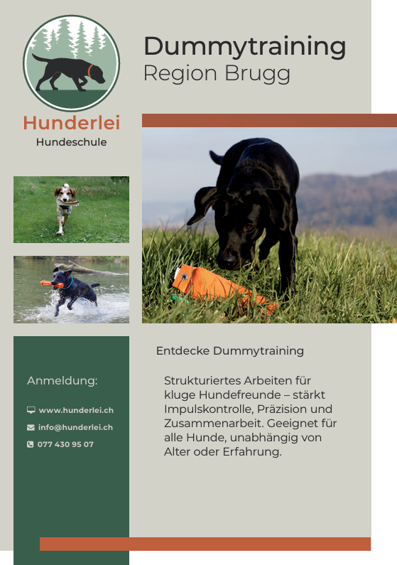 Dummytraining -🐶Dummy diverse Gruppen oder auch neue Gruppen – Region Brugg AG