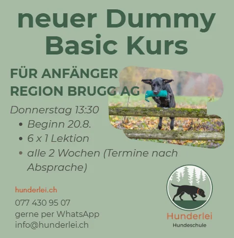 Dummytraining -🐶Dummy Basic für Anfänger Do 13.30 (6x1h) – Region Brugg AG