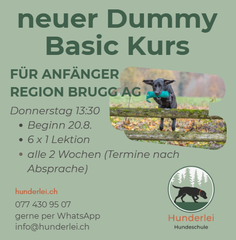 Dummytraining -🐶Dummy Basic für Anfänger Do 13.30 (6x1h) – Region Brugg AG
