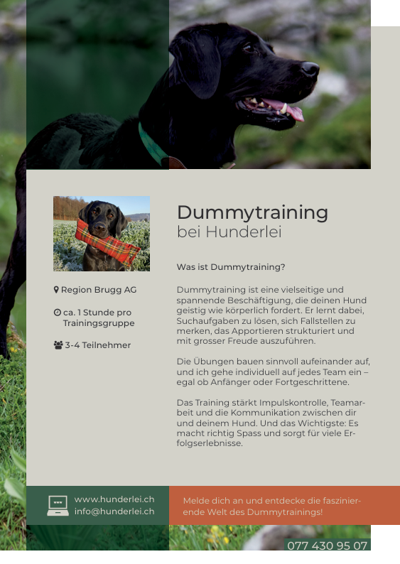 Dummytraining -🐶Dummy Basic für Anfänger (6x1h) – Region Brugg AG