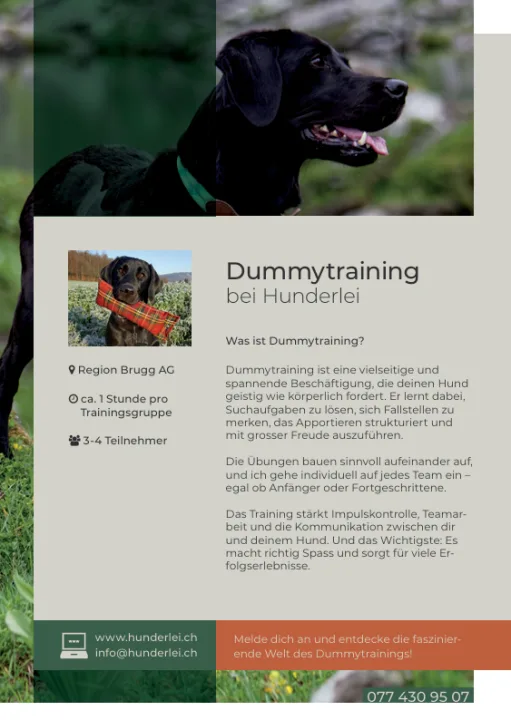 Dummytraining -🐶Dummy Basic für Anfänger (6x1h) – Region Brugg AG