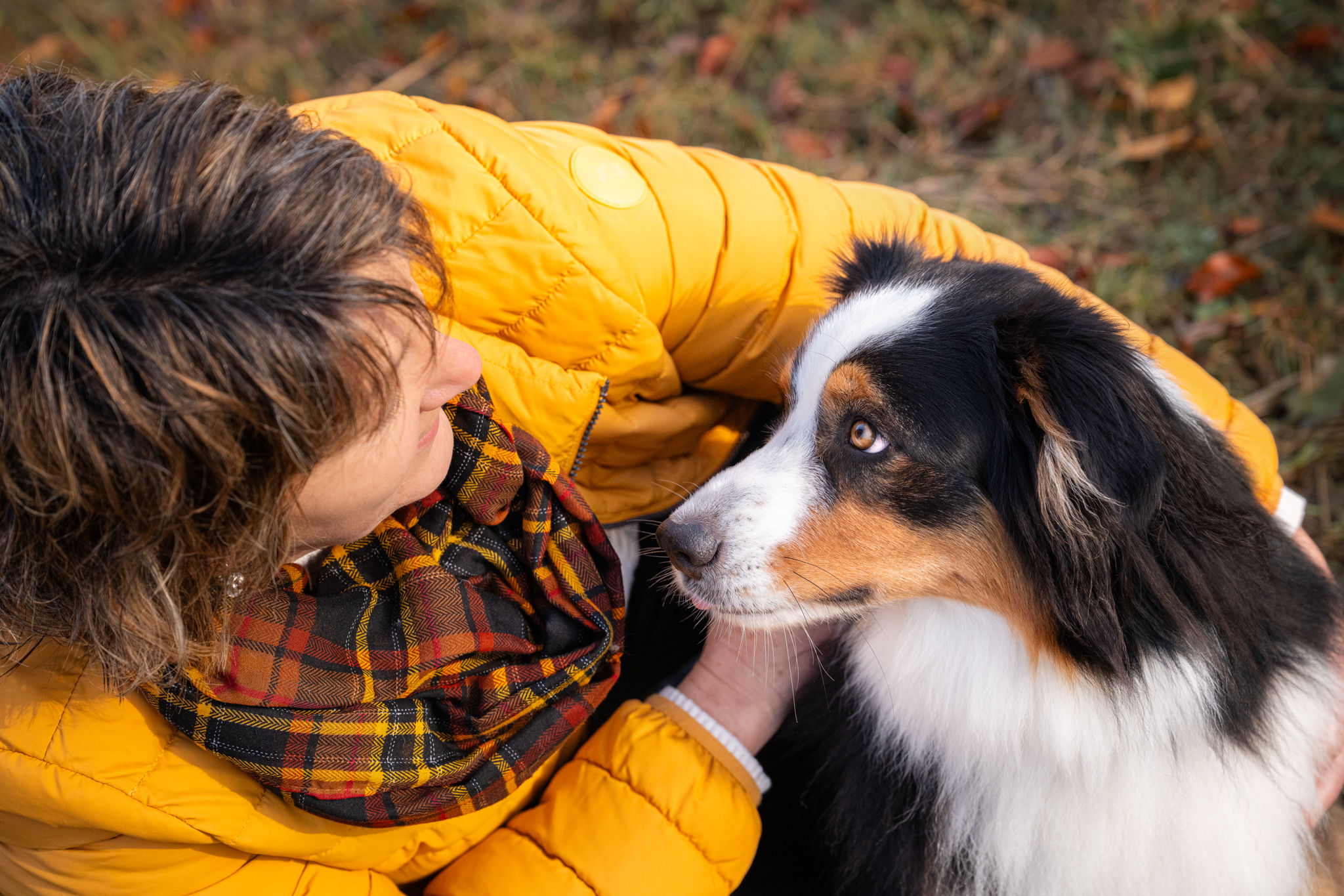 Hundefotosession draussen in der Natur zu jeder Jahreszeit