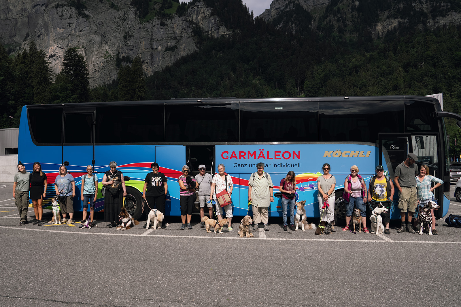 Car-Reise mit Hund | Dog Travel Club | Nächster Ausflug steht an