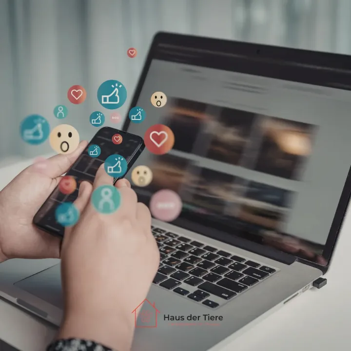 Deine Webseite wartet - jetzt mit den richtigen Fachleuten durchstarten!
