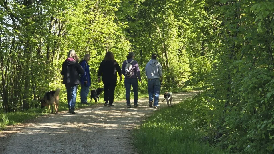 🐾 Gemeinsam Spaß haben: Unser Hundeplauschtraining! 🐾
