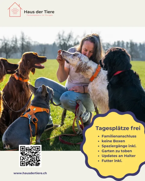 Ferien- & Tagesbetreuung für Hunde