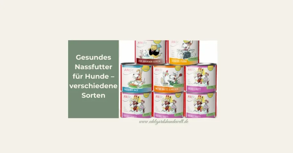 Natürliches Hundefutter im FellFlair-Shop – für mehr Glanz & Wohlbefinden
