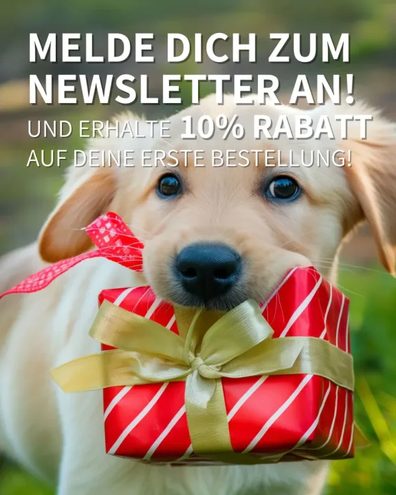 🐾 Jetzt Snack4Pet Newsletter abonnieren und 10% Rabatt auf Snacks für Hunde ergattern!